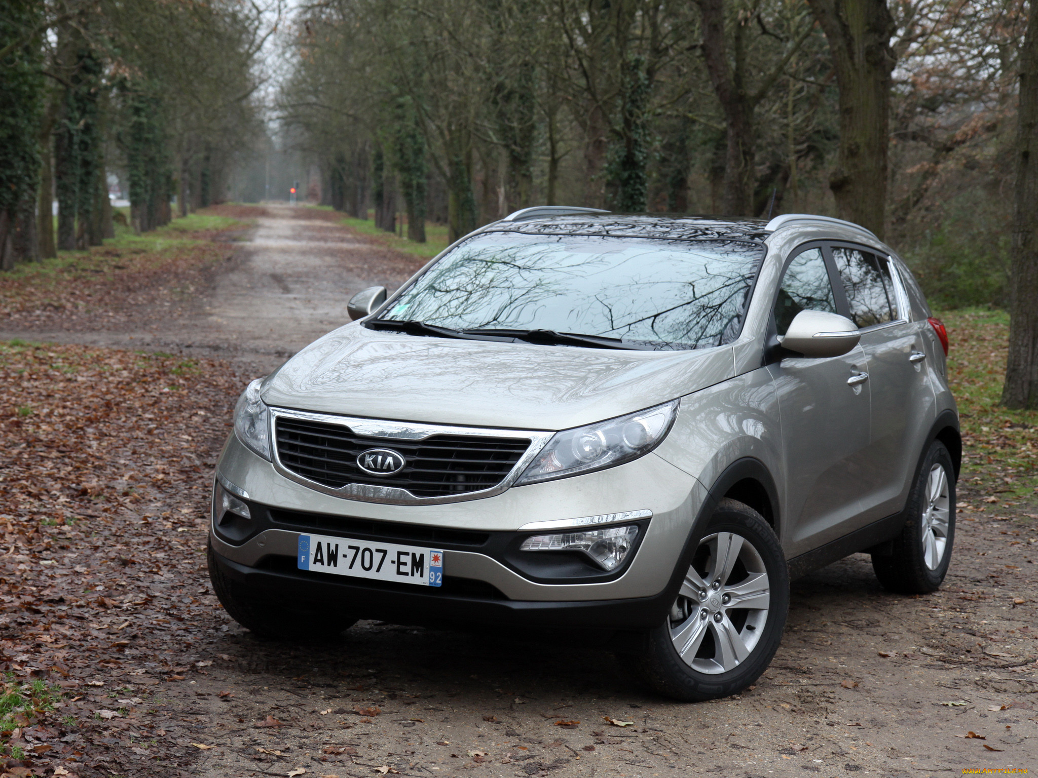 , kia, sportage